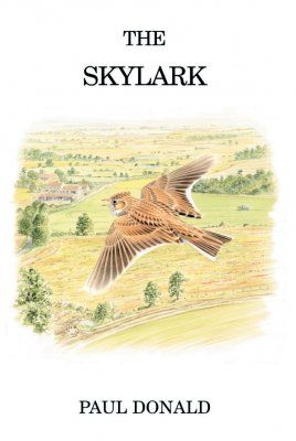 The Skylark