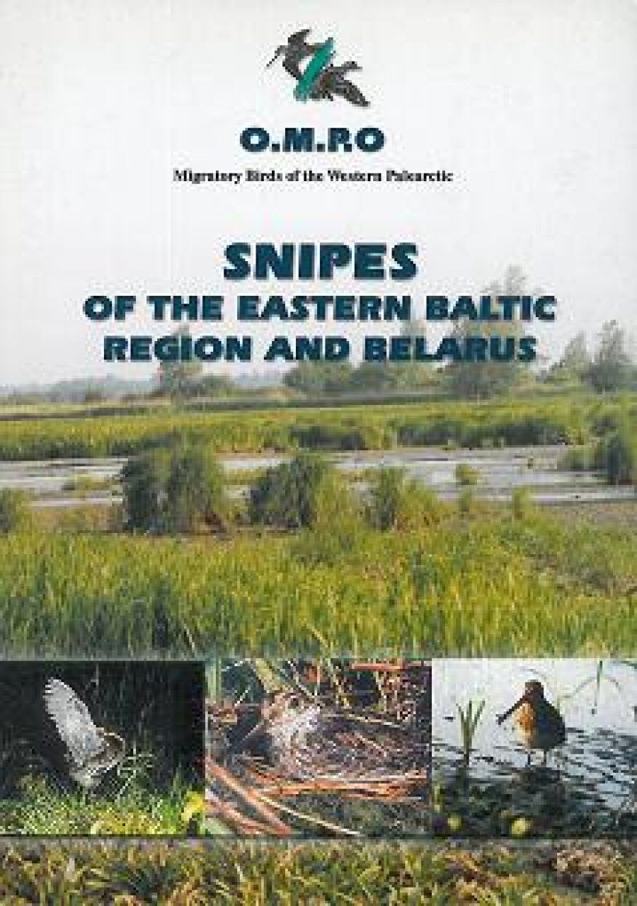 Snipes of the Eastern Baltic Region and Belarus