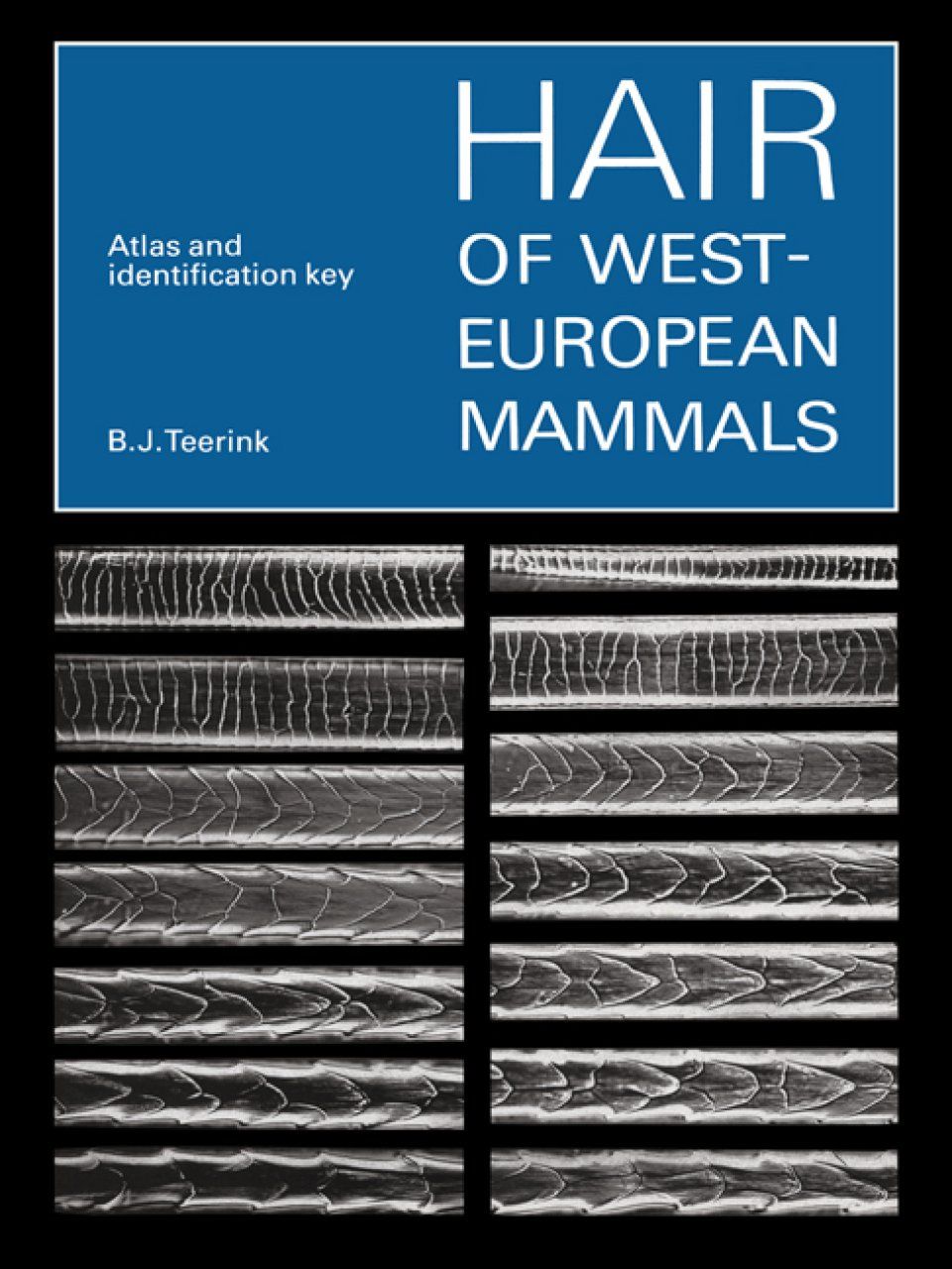 Hair of West European Mammals