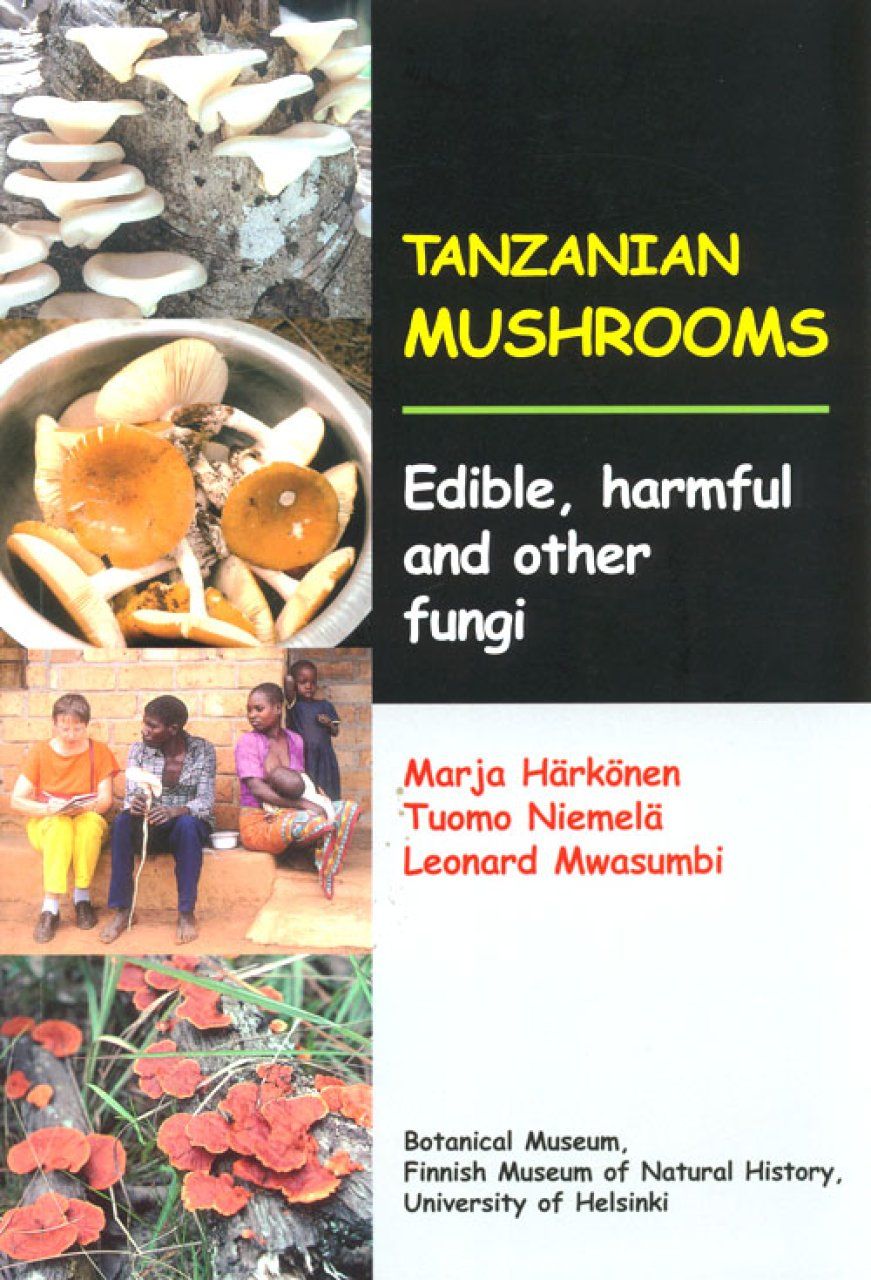 Tanzanian Mushrooms