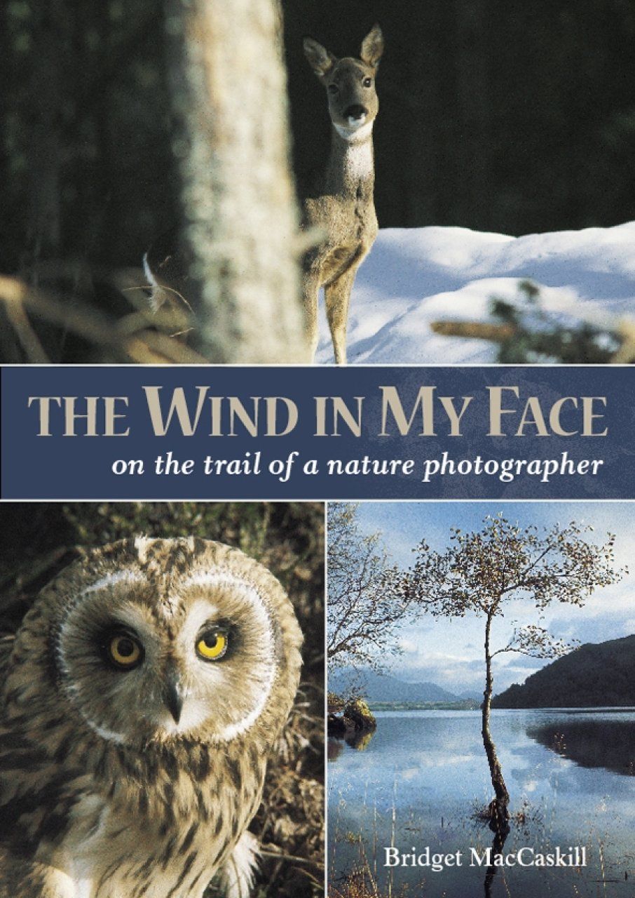 The Wind in my Face