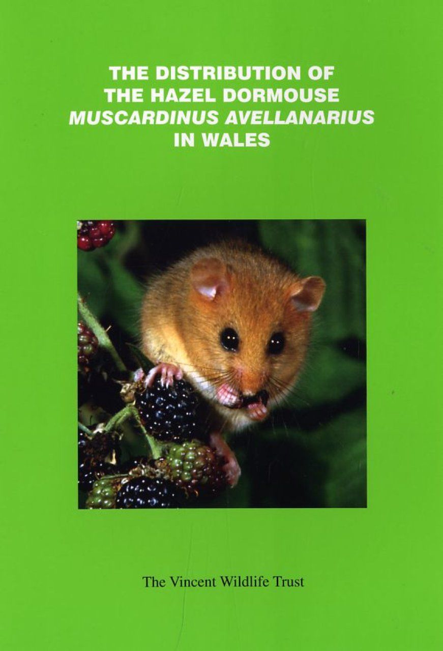 The Distribution of the Hazel Dormouse Muscardinus avellanarius in Wales