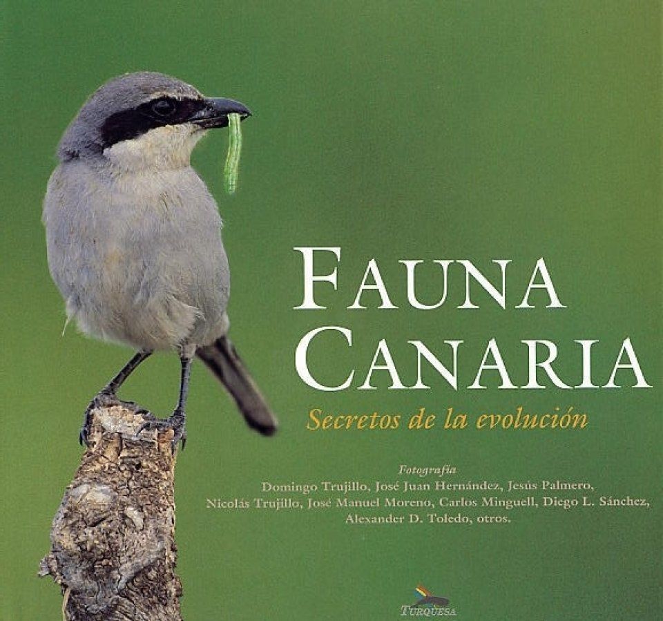 Fauna Canaria [Spanish]