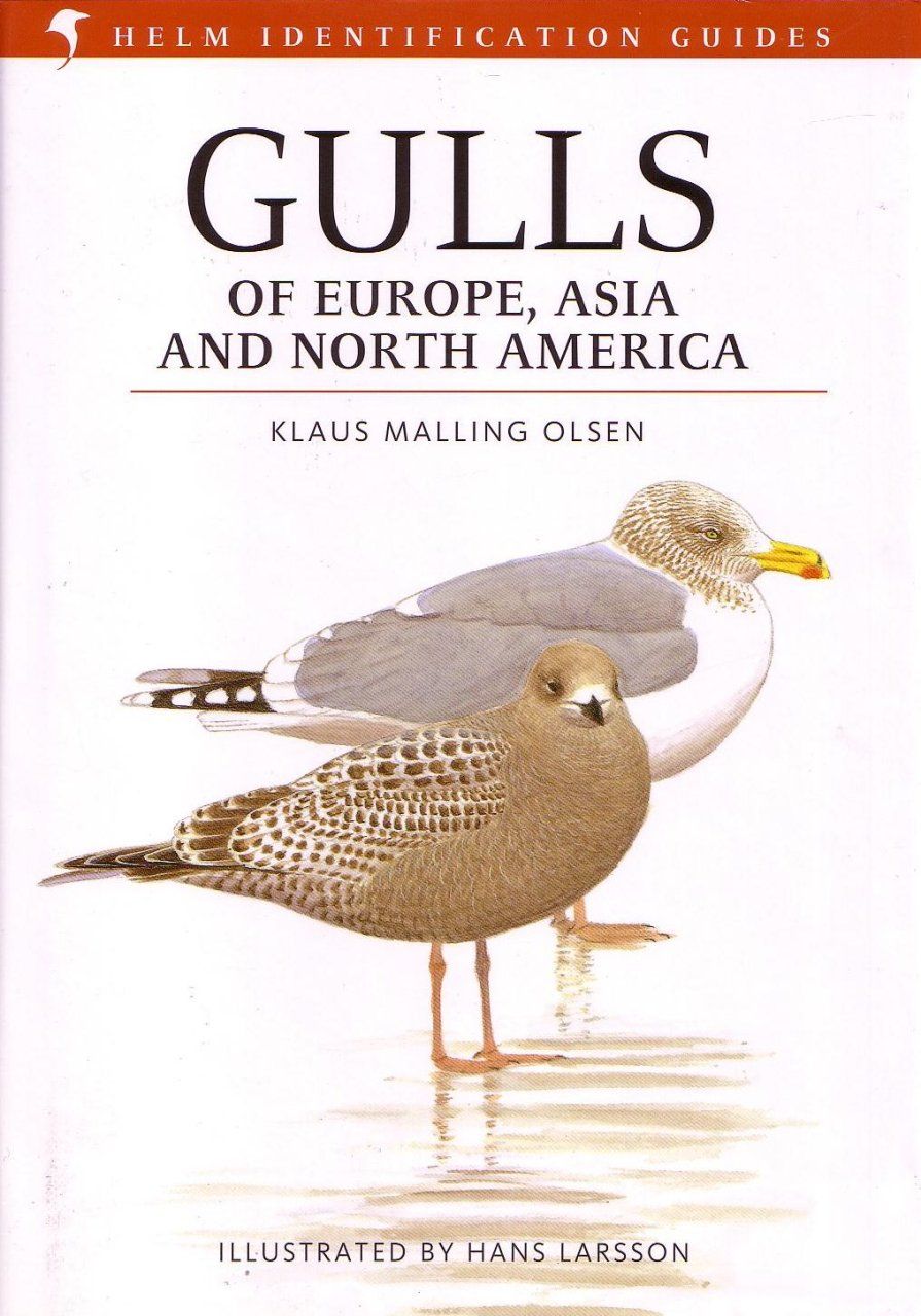 Gulls of Europe, Asia and North America