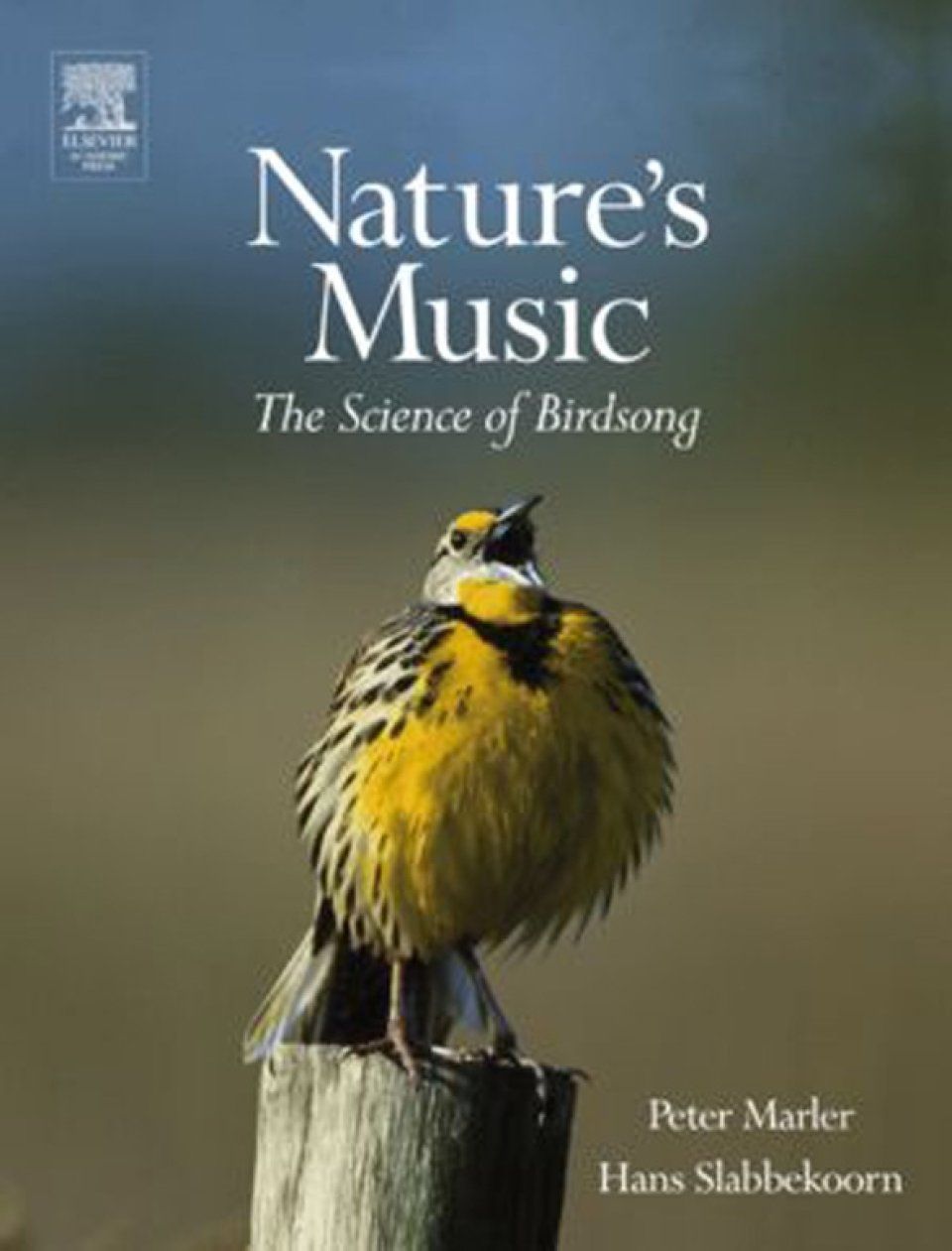 Nature&#039;s Music