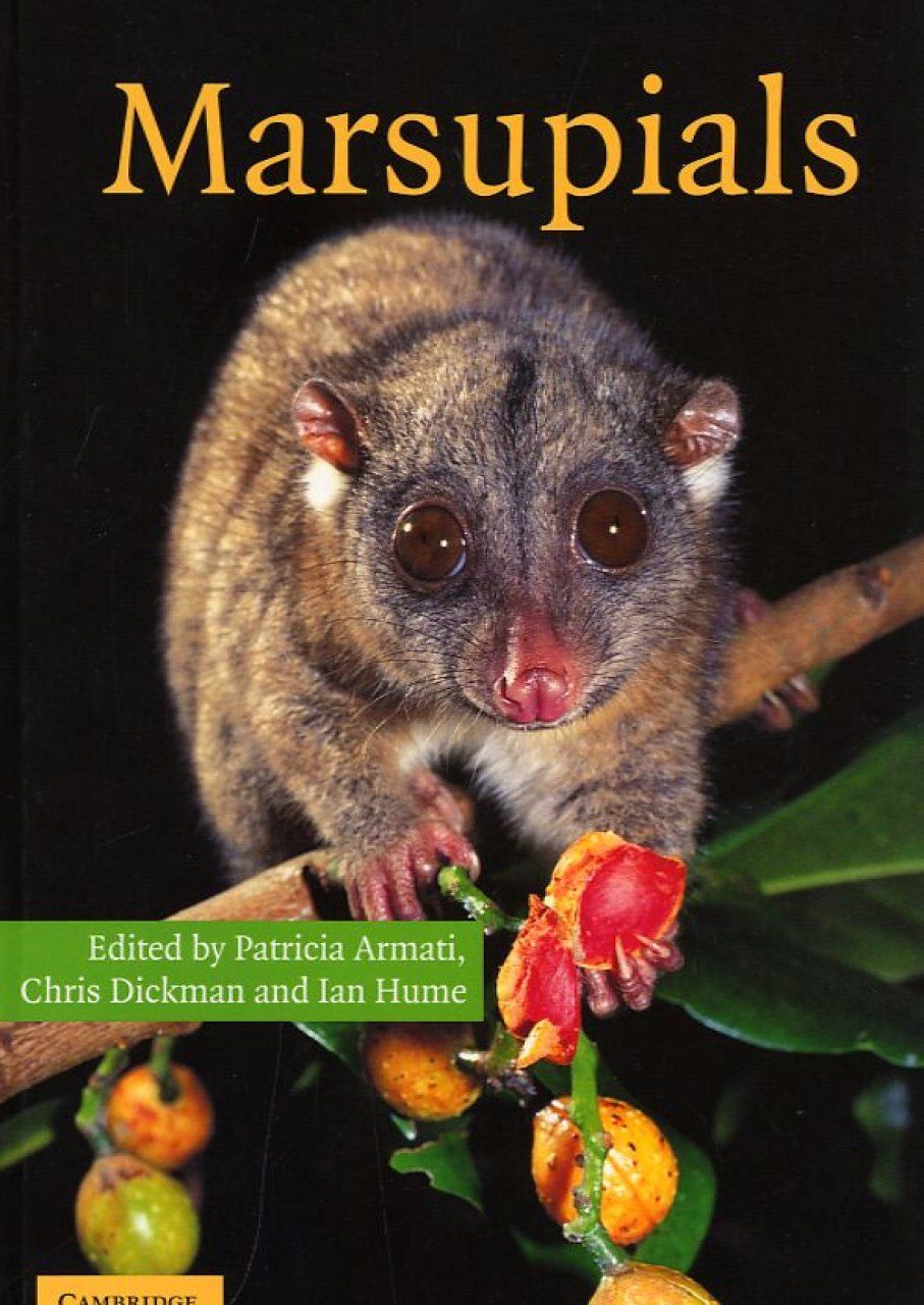 Marsupials