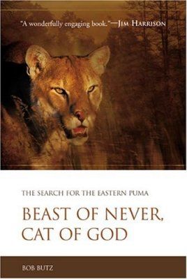 Beast of Never, Cat of God
