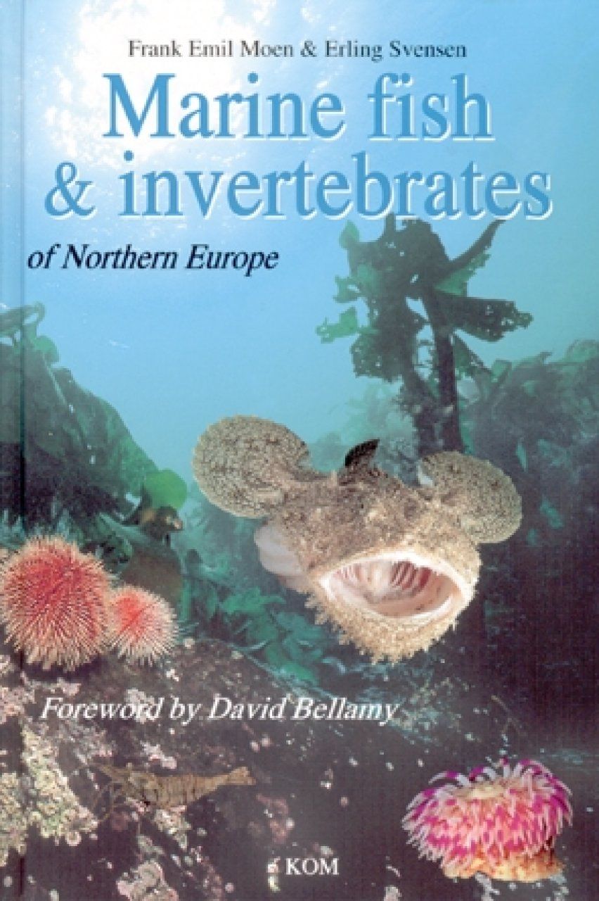 Marine Fish &amp; Invertebrates of Northern Europe