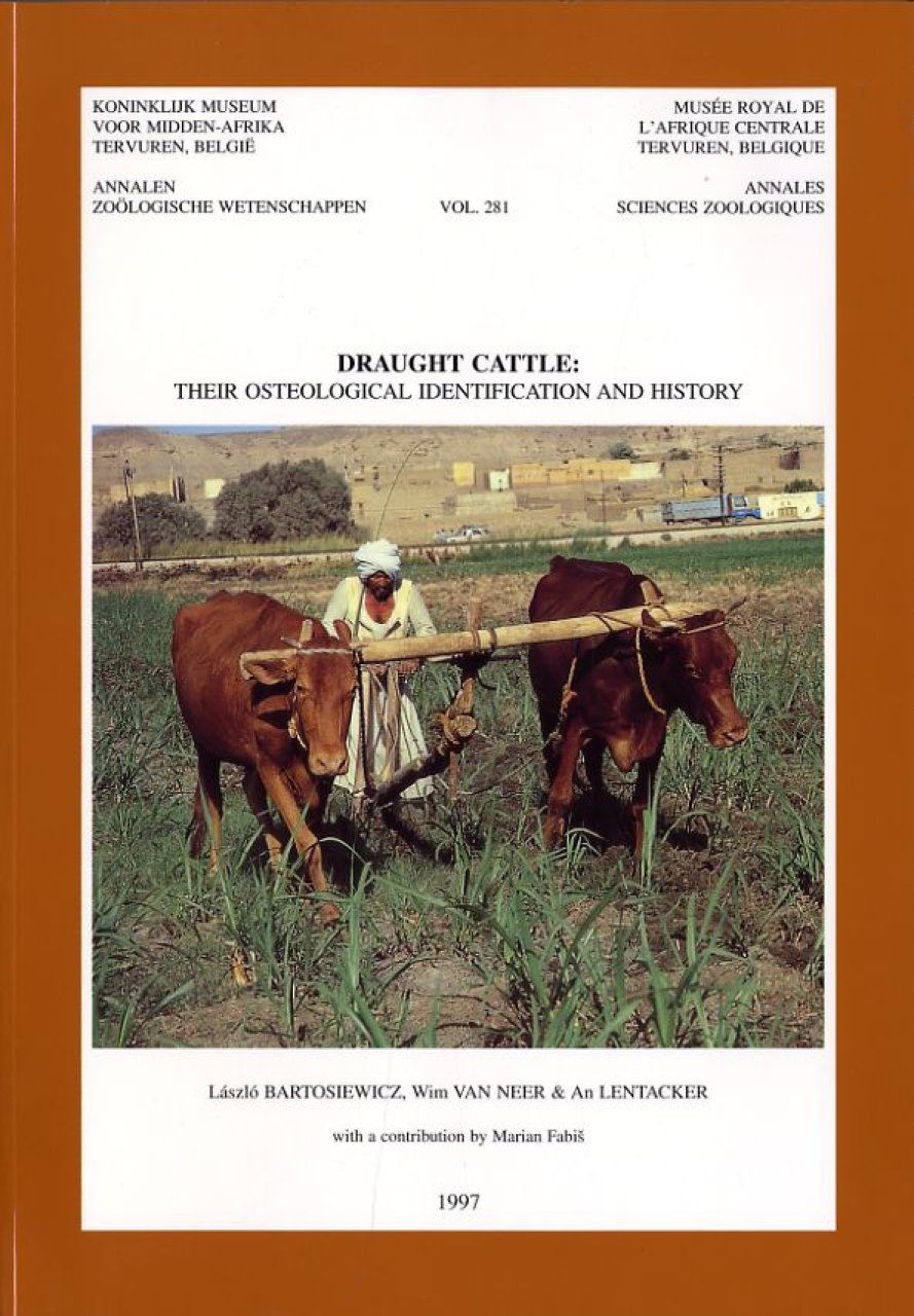 Draught Cattle