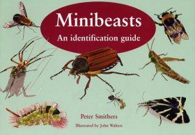Minibeasts