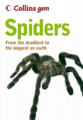 Collins Gem Guide: Spiders