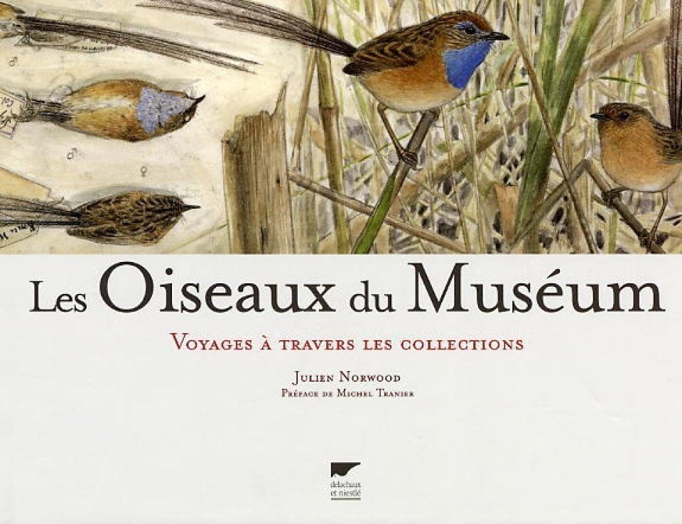 Les Oiseaux du Museum