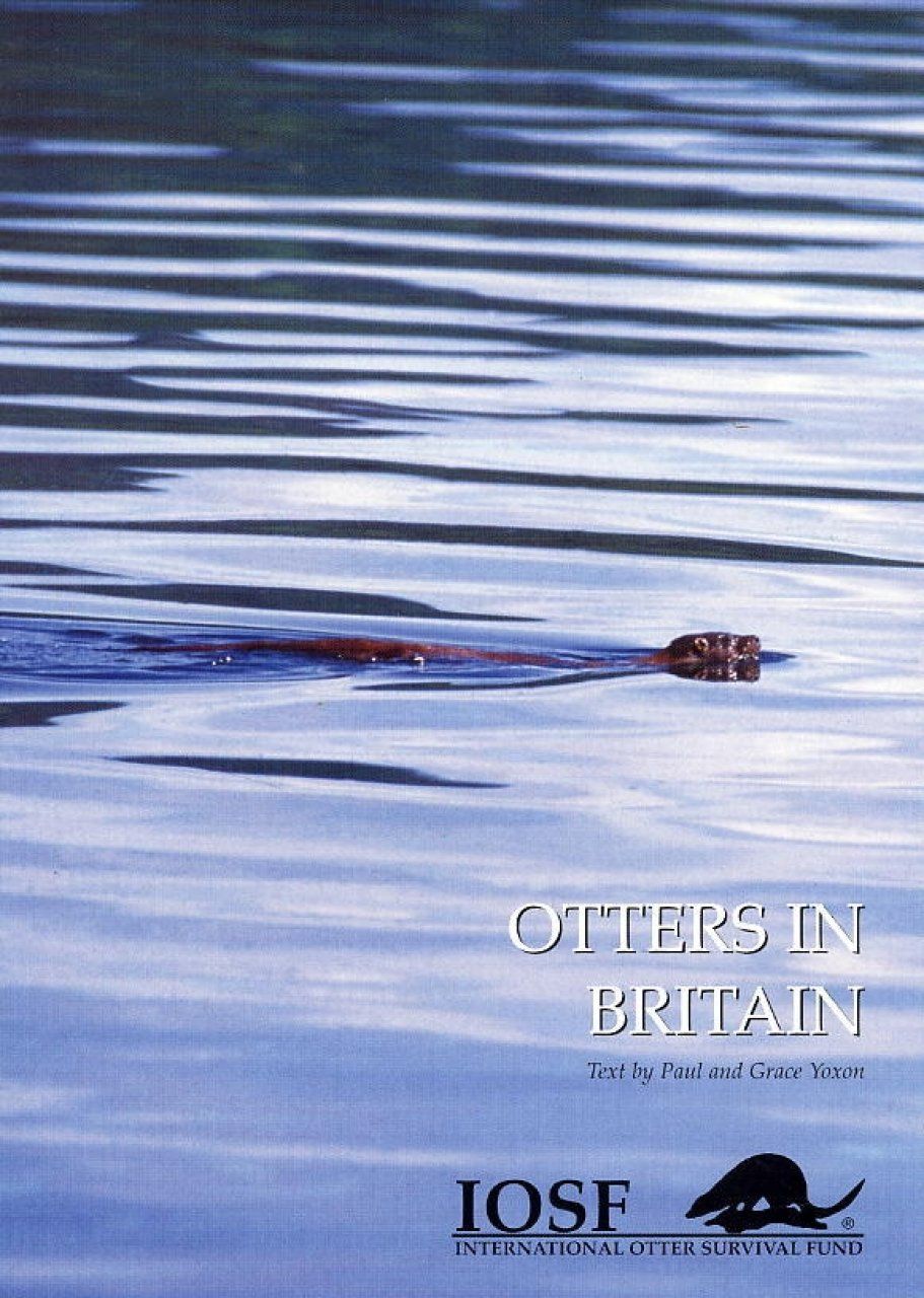 Otters in Britain