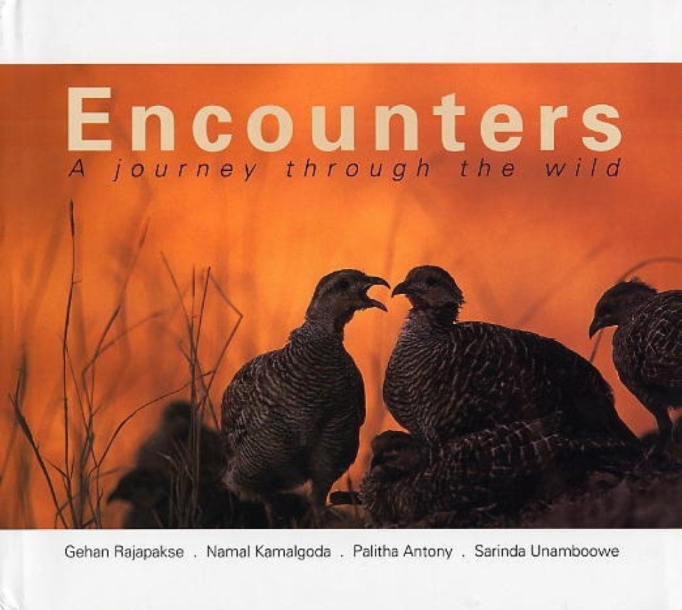 Encounters
