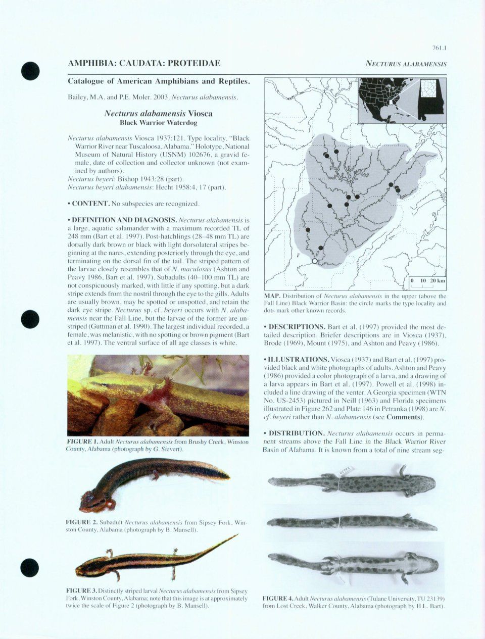Catalogue of American Amphibians and Reptiles: Numbers 761-780