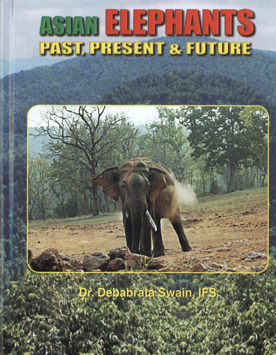 Asian Elephants