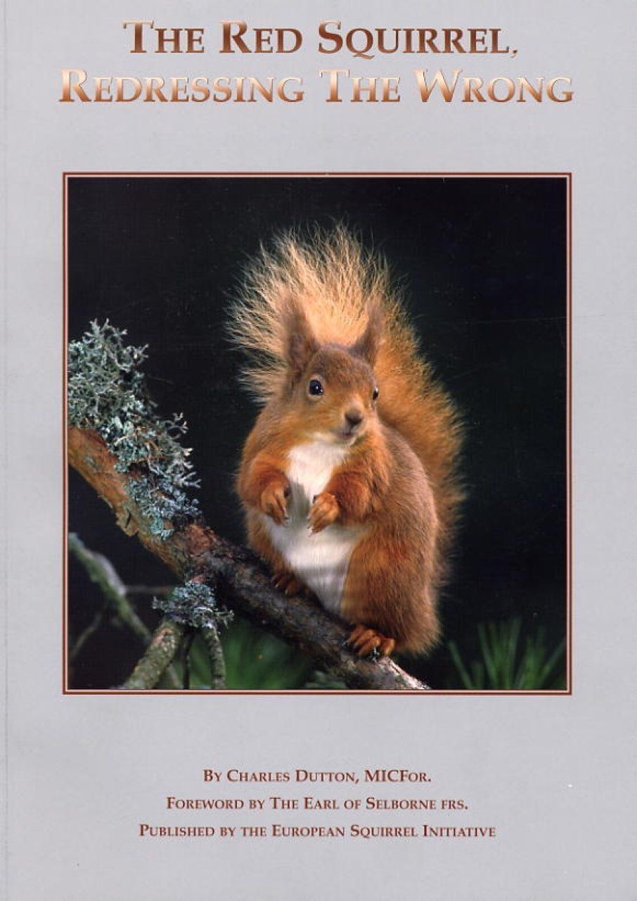 The Red Squirrel