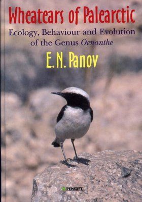 The Wheatears of the Palaearctic