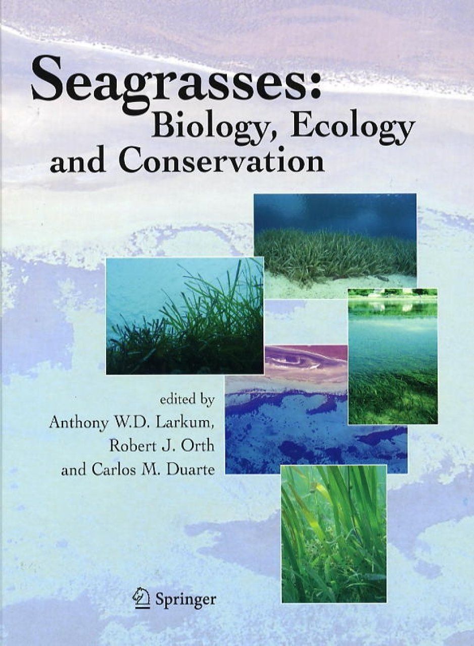 Seagrasses