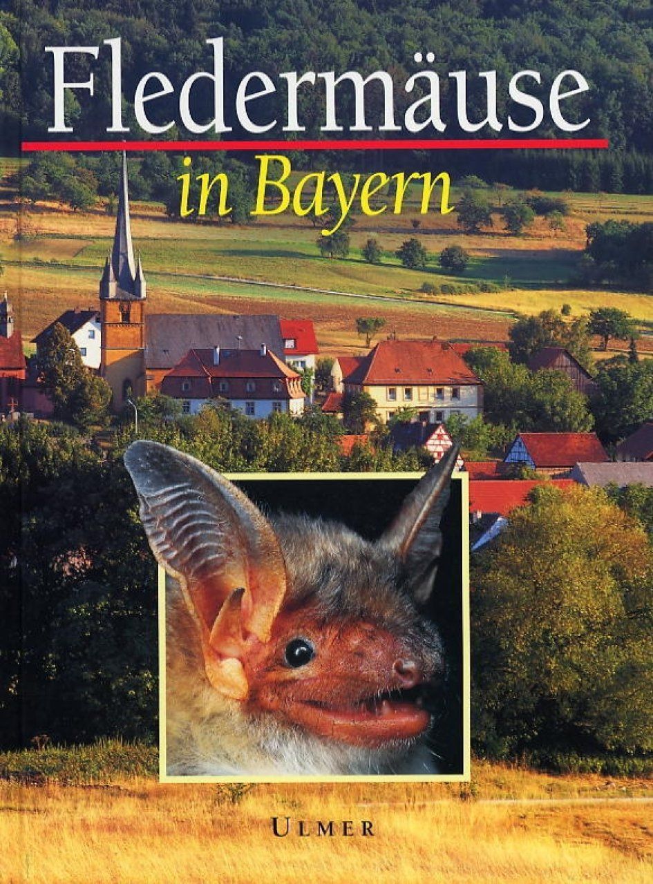Fledermäuse in Bayern [Bats in Bavaria]