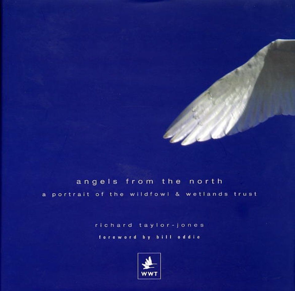 Angels from the North