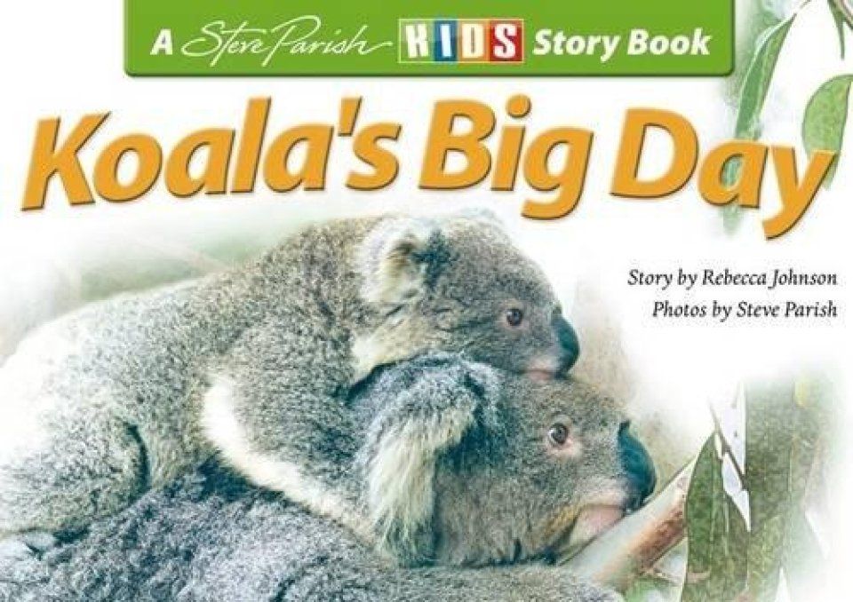 Koala&#039;s Big Day