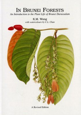In Brunei Forests