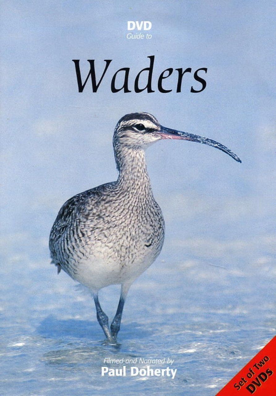 DVD Guide to Waders (All Regions)