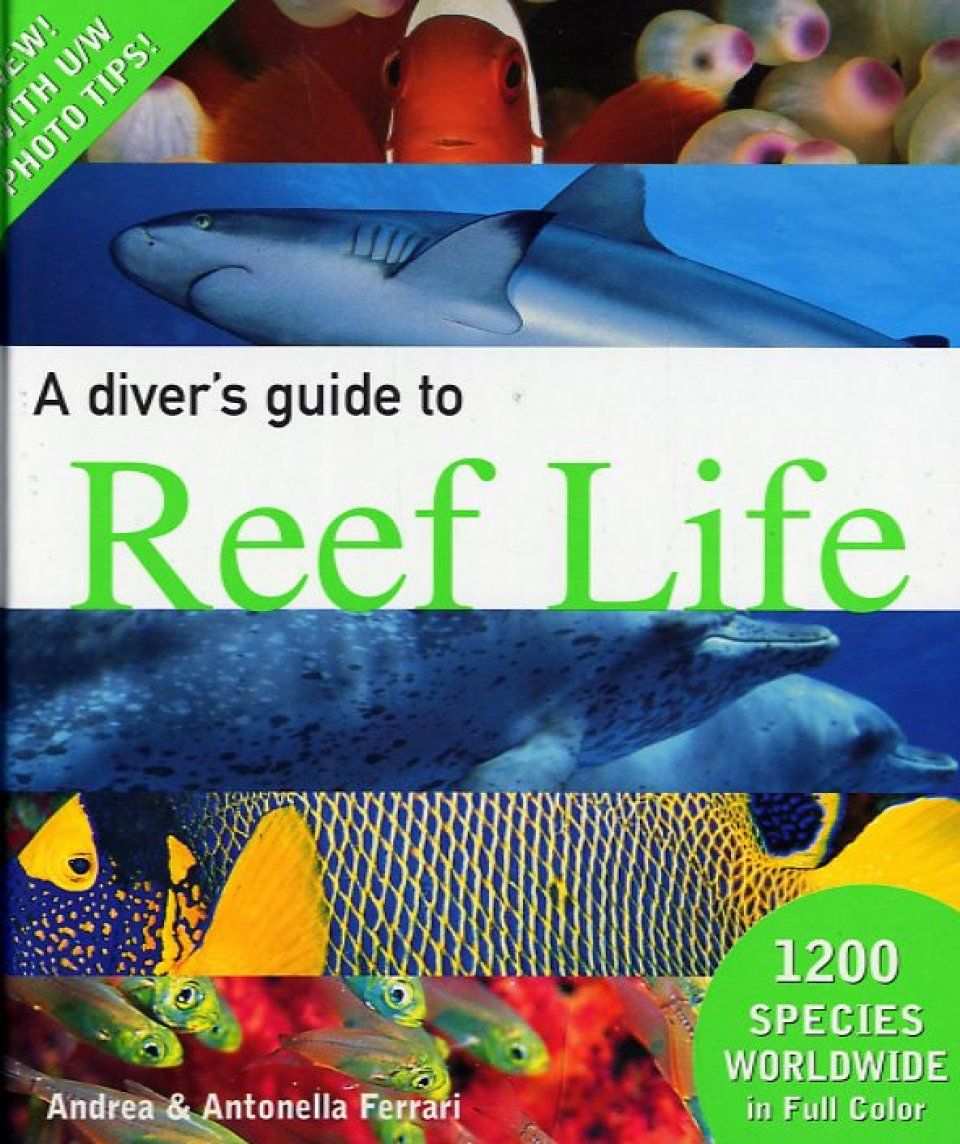 A Diver&#039;s Guide to Reef Life