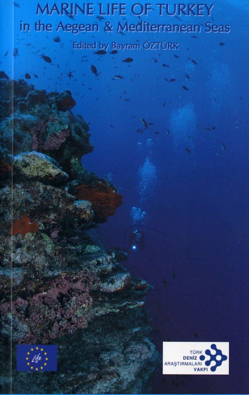 Marine Life of Turkey in the Aegean &amp; Mediterranean Seas