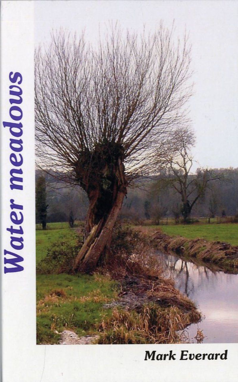 Water Meadows