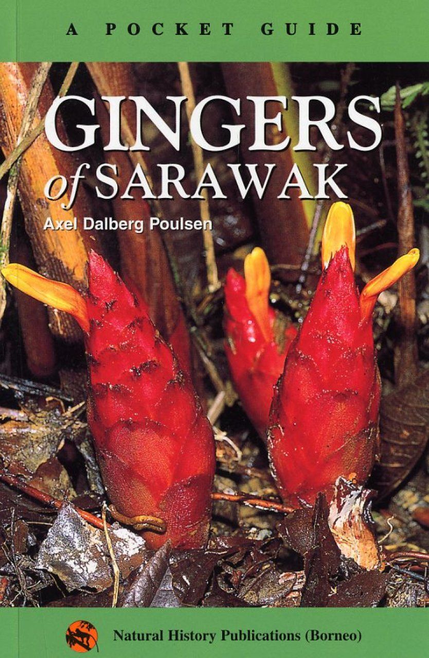 A Pocket Guide: Gingers of Sarawak