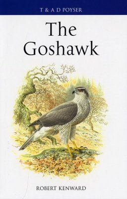 The Goshawk