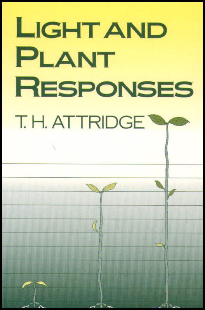 Light and Plant Responses