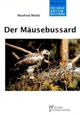 Der Mäusebussard [The Buzzard]