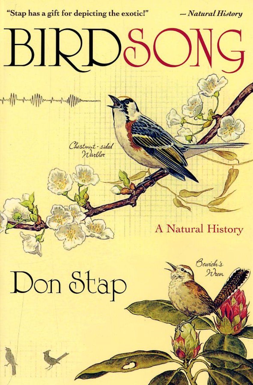 Birdsong