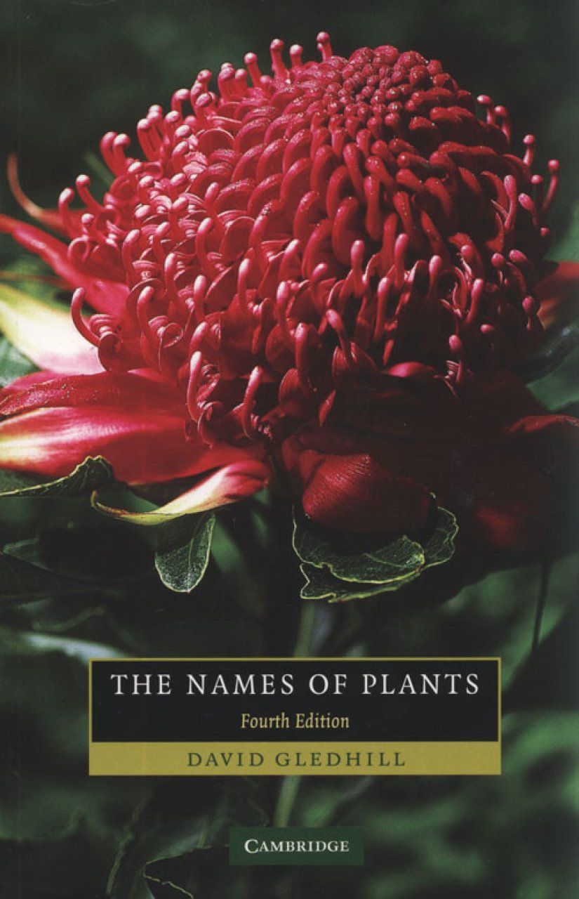 The Names of Plants