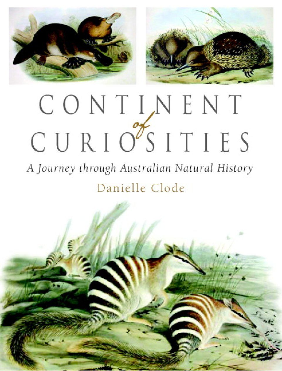 Continent of Curiosities