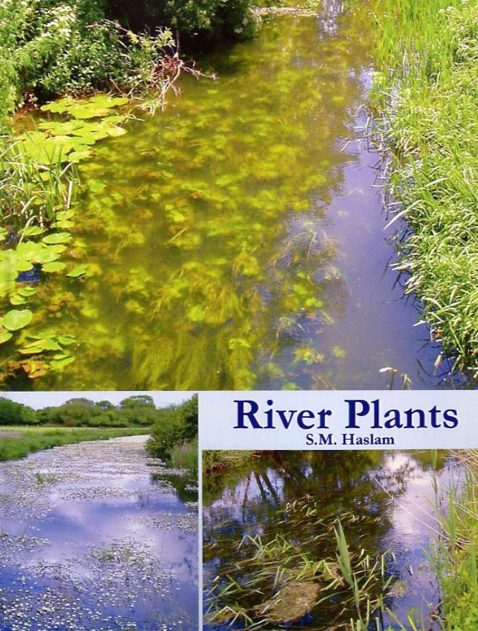 River Plants