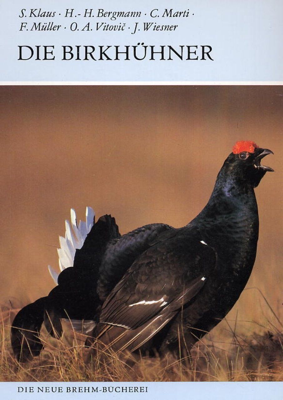 Die Birkhühner [The Black Grouse]