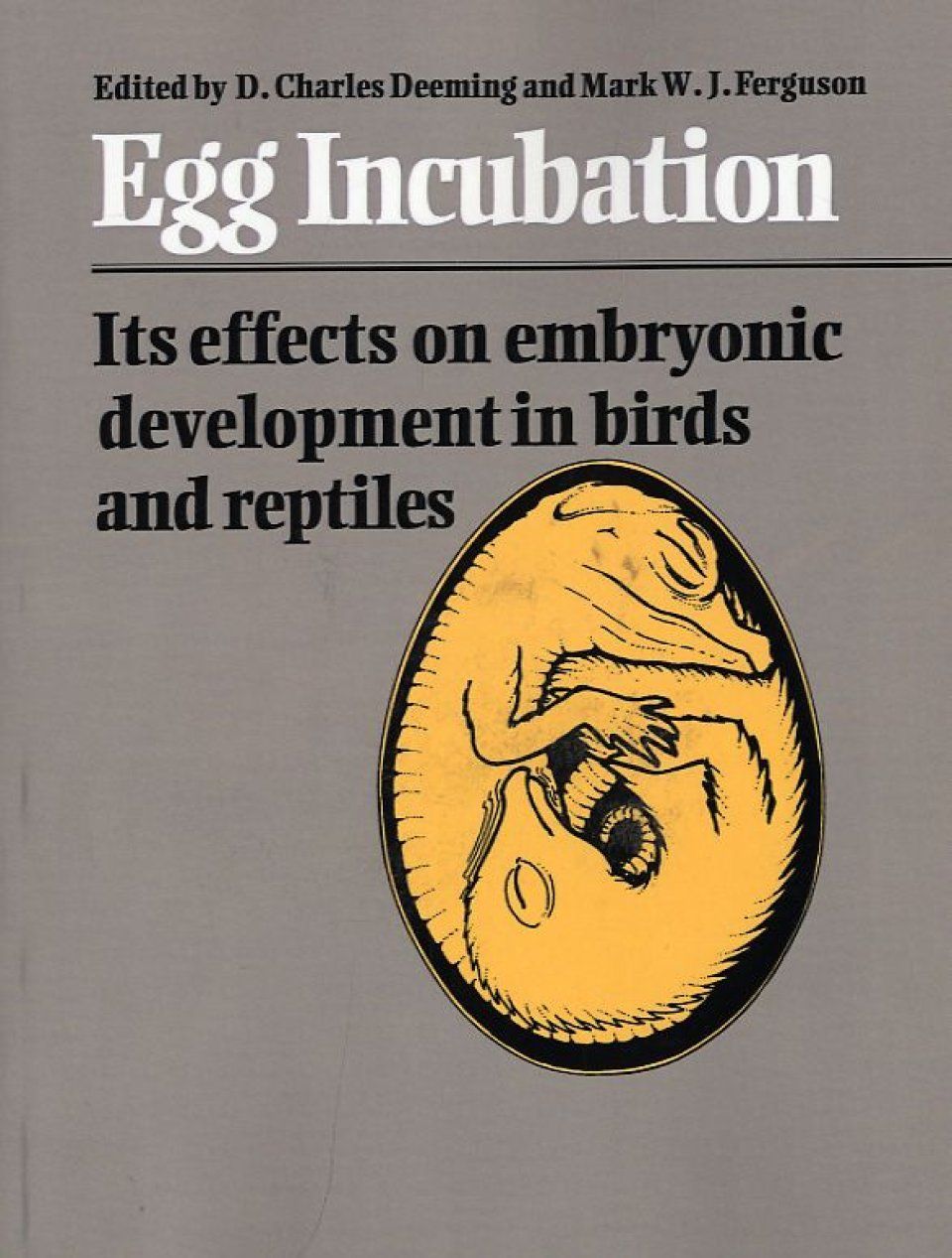 Egg Incubation