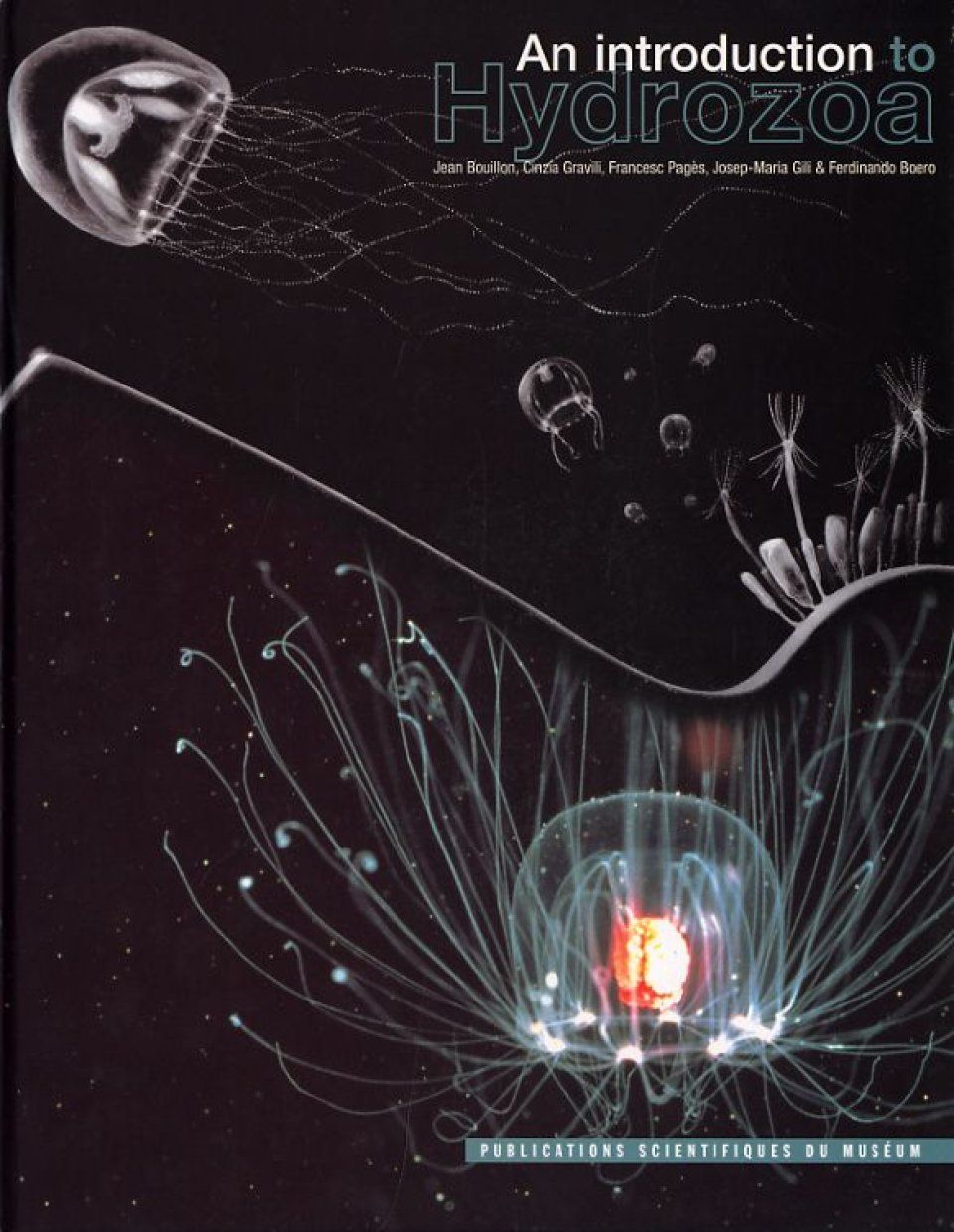 An Introduction to Hydrozoa