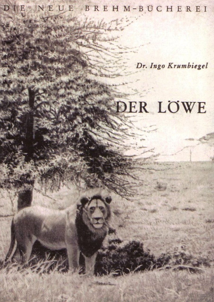 Der Löwe [The Lion]