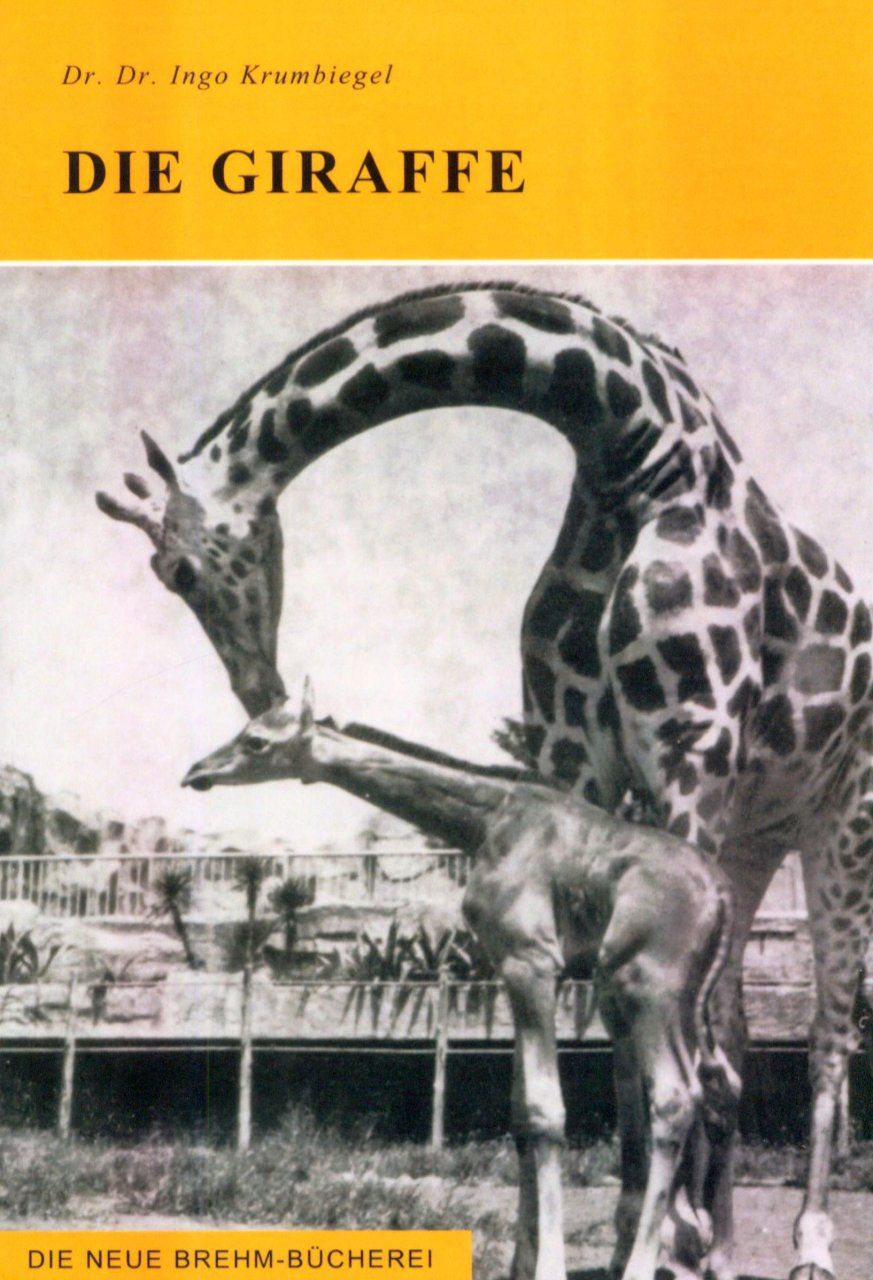 Die Giraffe [The Giraffe]