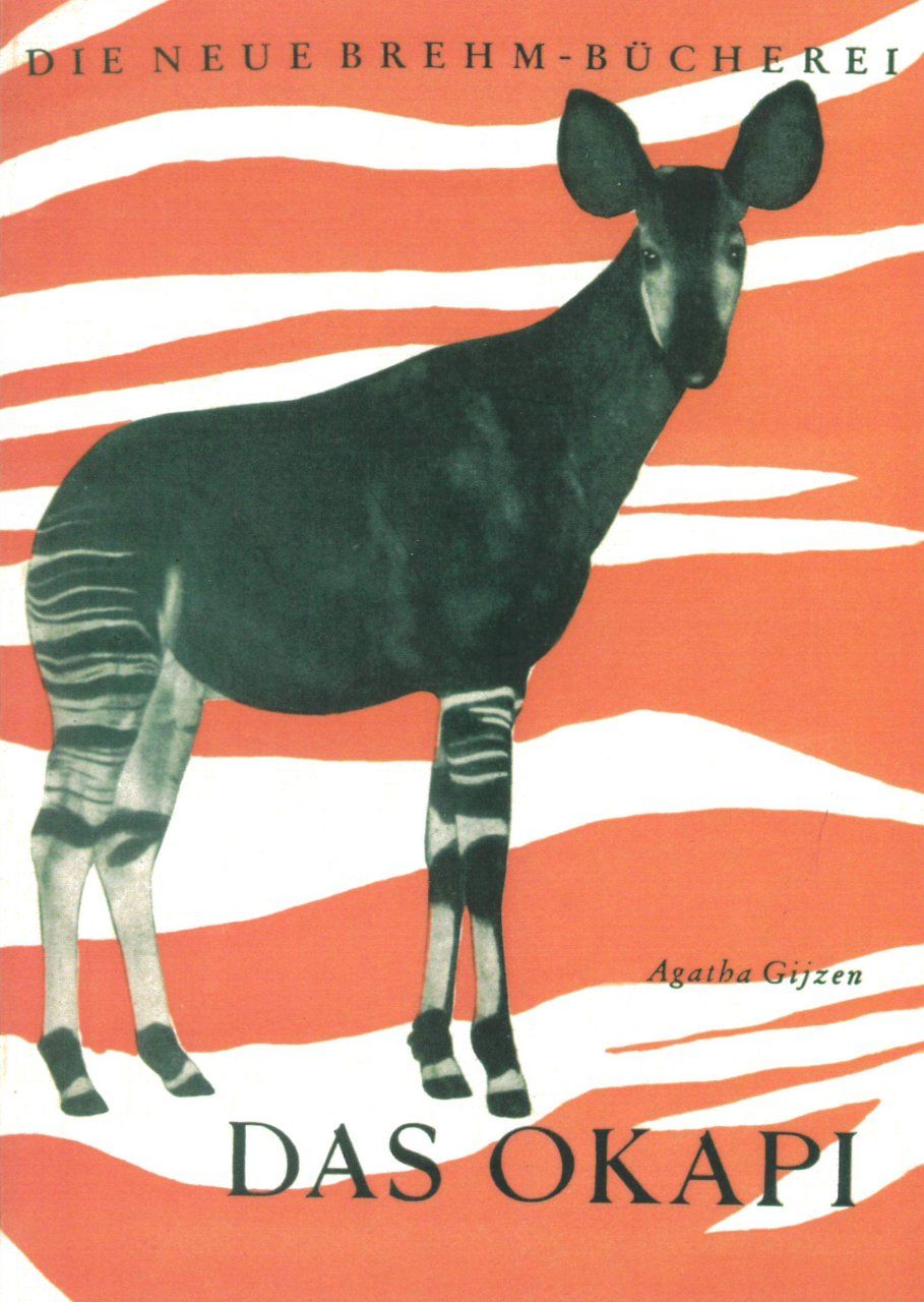 Das Okapi [The Okapi]