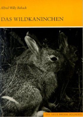 Das Wildkaninchen [The European Rabbit]