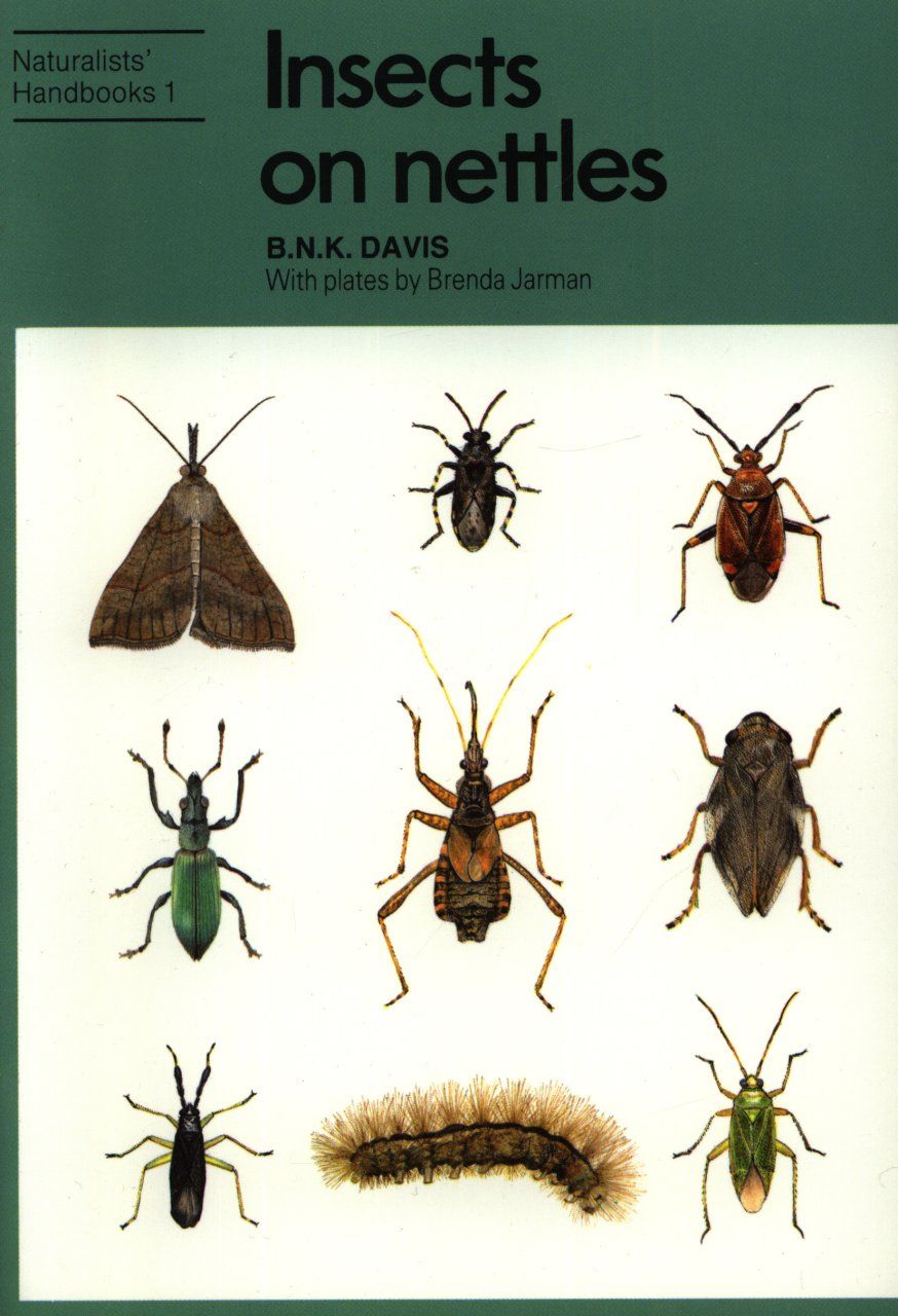 Insects on Nettles