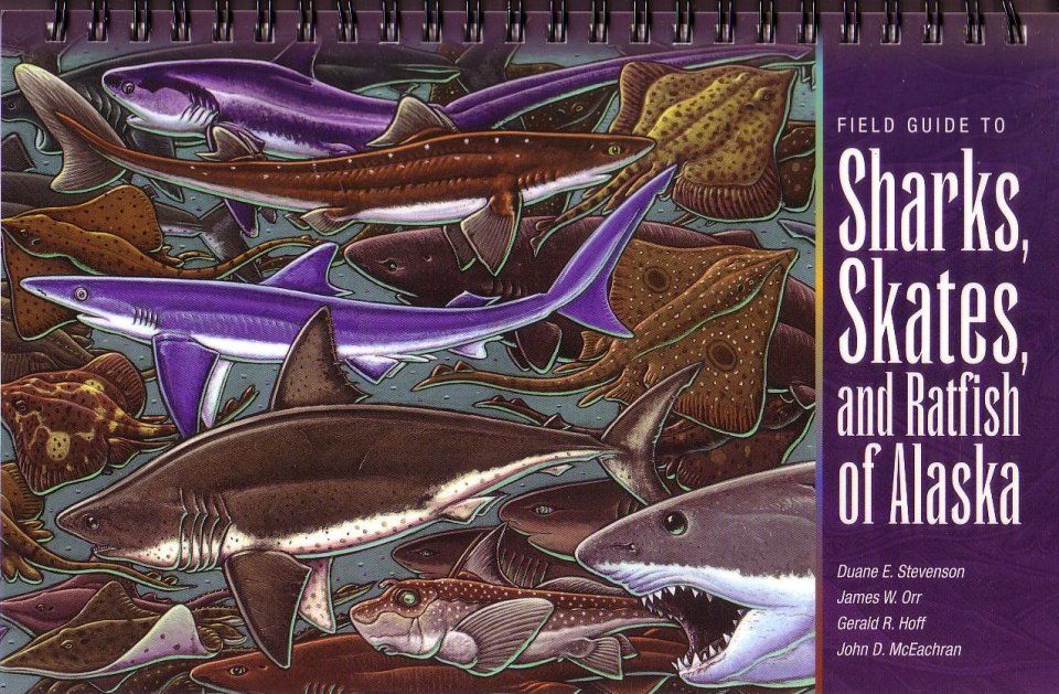 Field Guide to Sharks, Skates, and Ratfish of Alaska