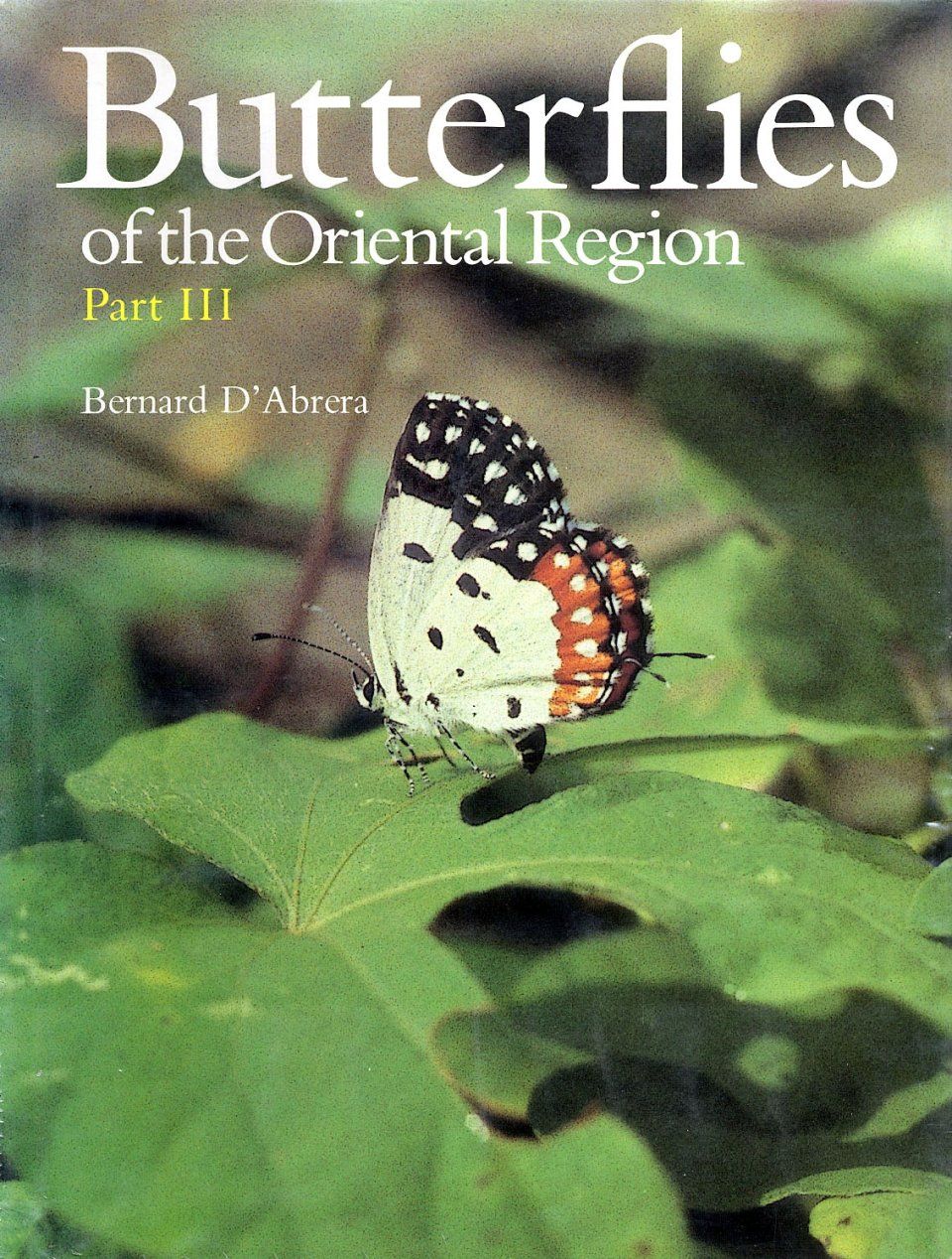 Butterflies of the Oriental Region, Part 3