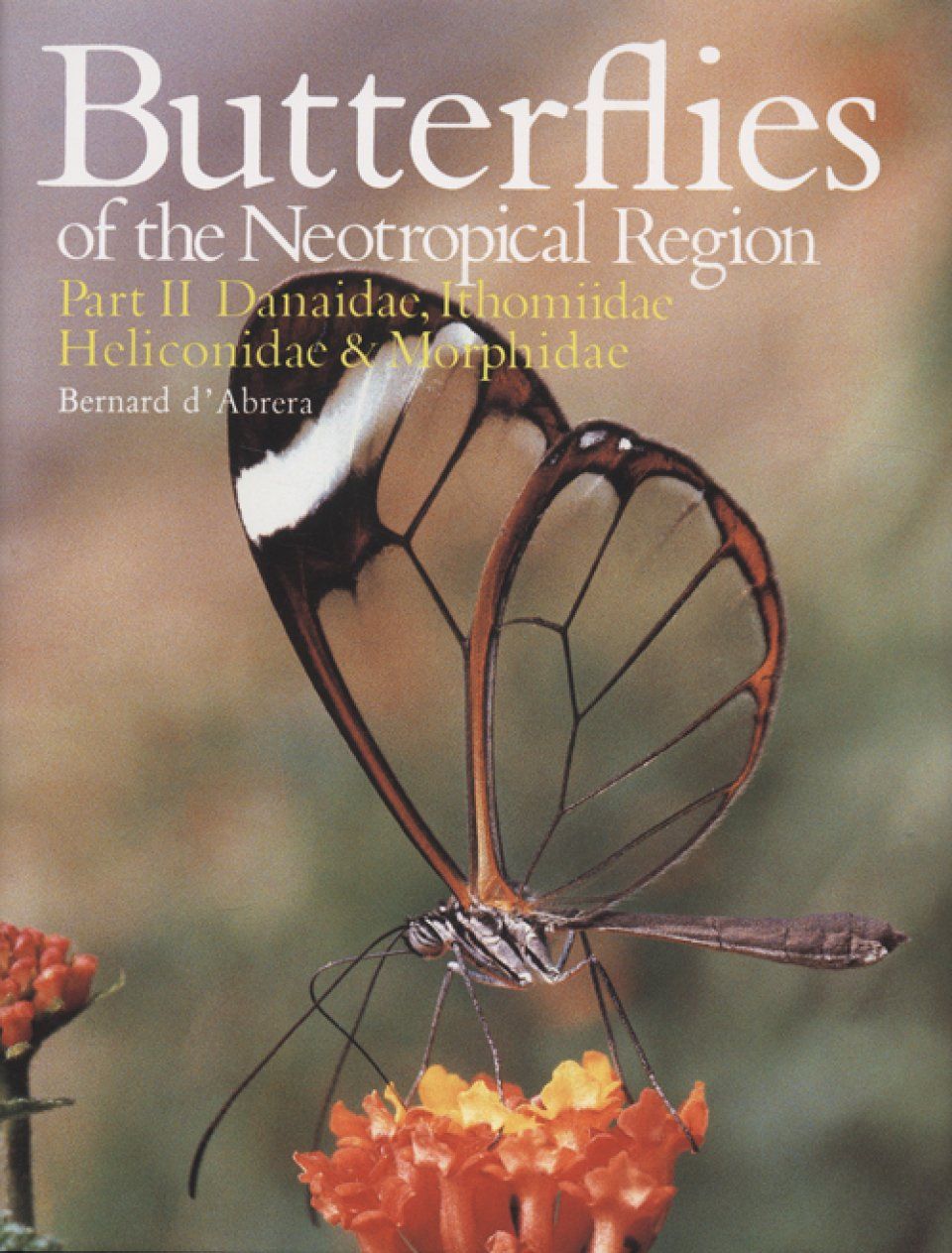 Butterflies of the Neotropical Region, Part 2
